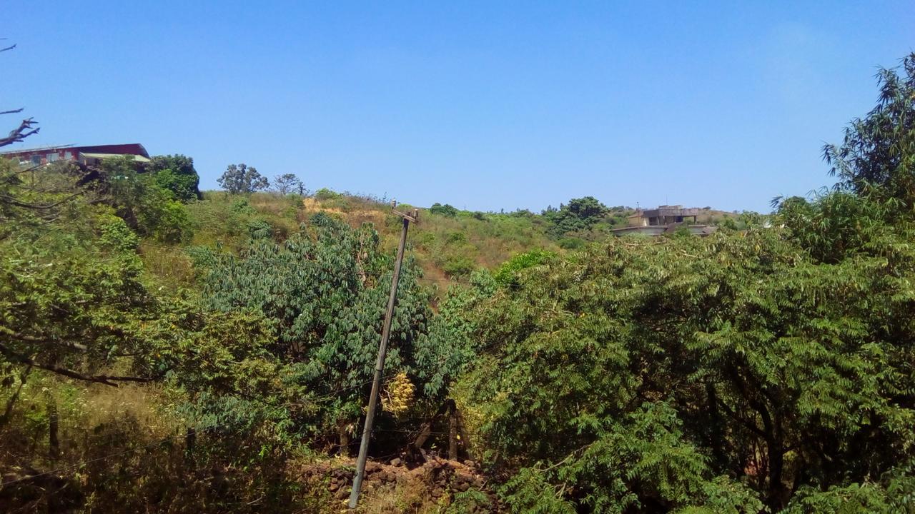 Hotel Tree Top Mahābaleshwar Екстериор снимка